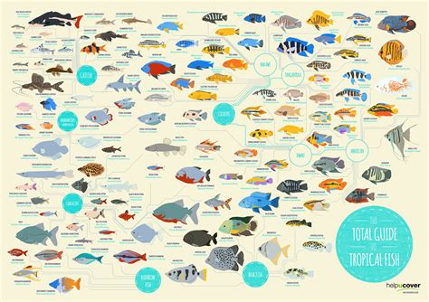 List of Fish Species & Locations .